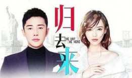 电视剧归去来大结局,命运交织，终章揭秘，爱恨情仇终成空