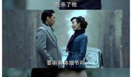 卿本佳人电视剧,宫廷爱恨纠葛的华丽演绎