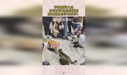 高中学校大瓜爆料视频,大瓜爆料视频背后的真相