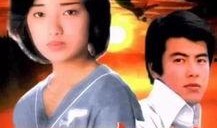 日本电视剧血疑,揭秘家族秘密与复仇之路